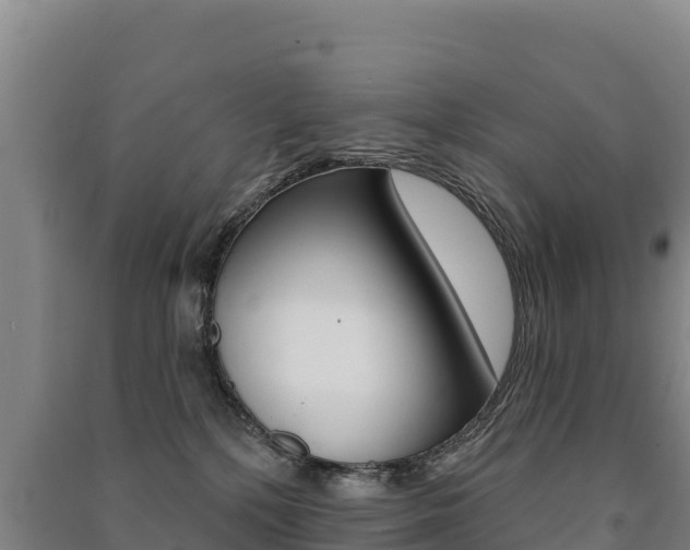 X0000091470232200708161134