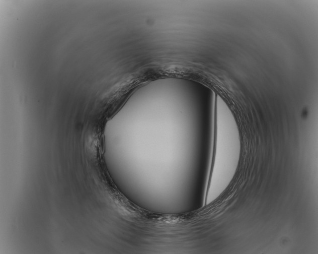 X0000091470235200708161134