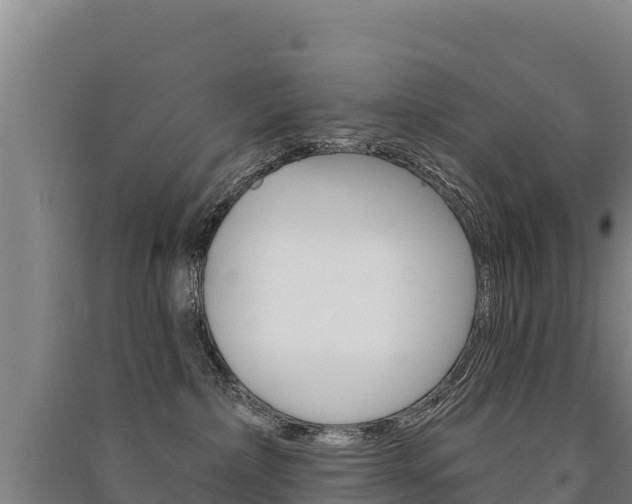 X0000091470236200708161134