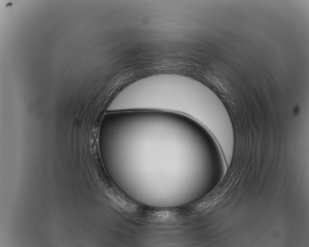 X0000091470237200708161134