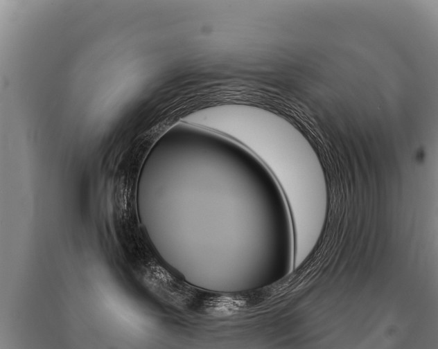 X0000091470239200708161134