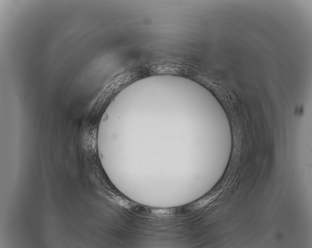 X0000091470240200708161134