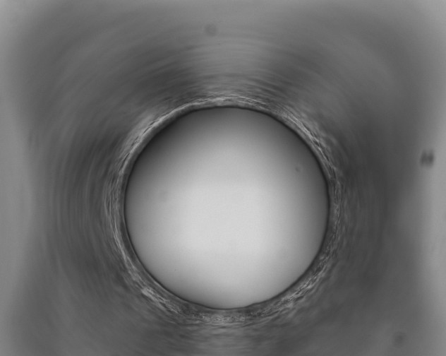 X0000091470241200708161134