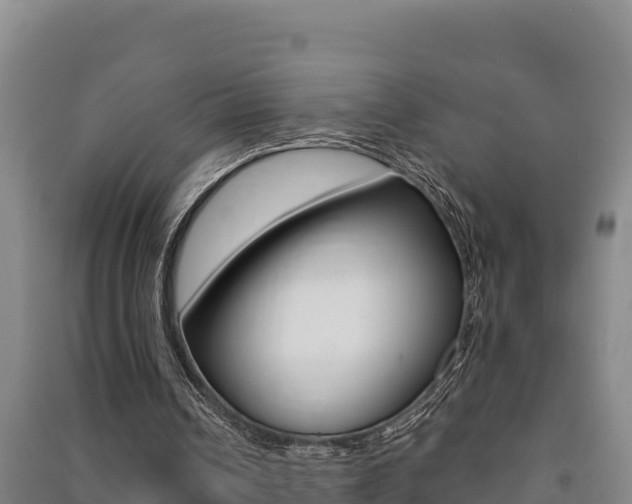 X0000091470242200708161134