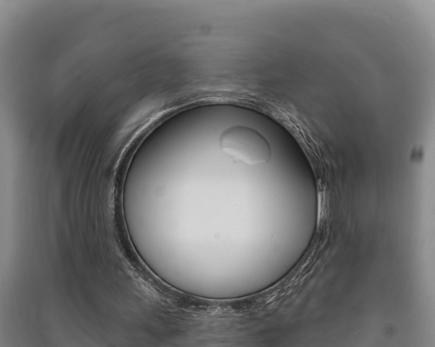 X0000091470243200708161134