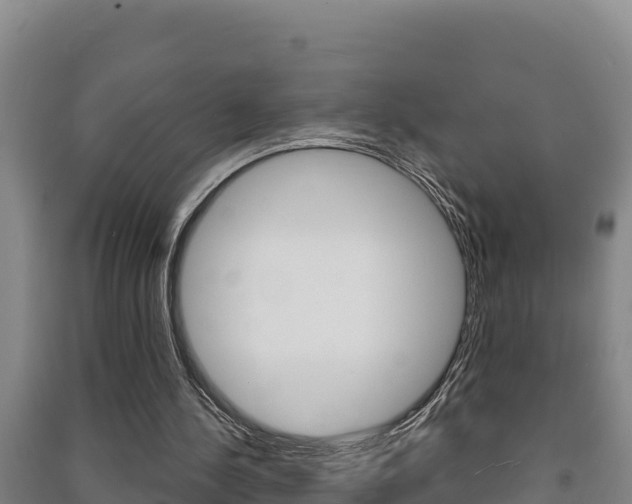 X0000091470244200708161134