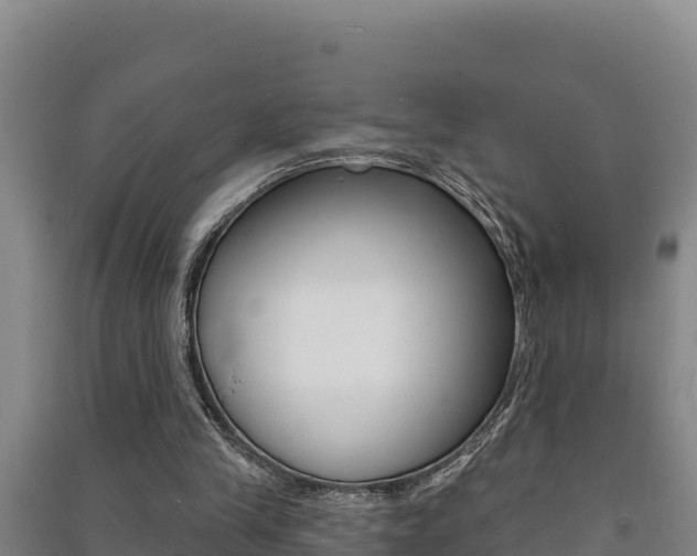 X0000091470245200708161134