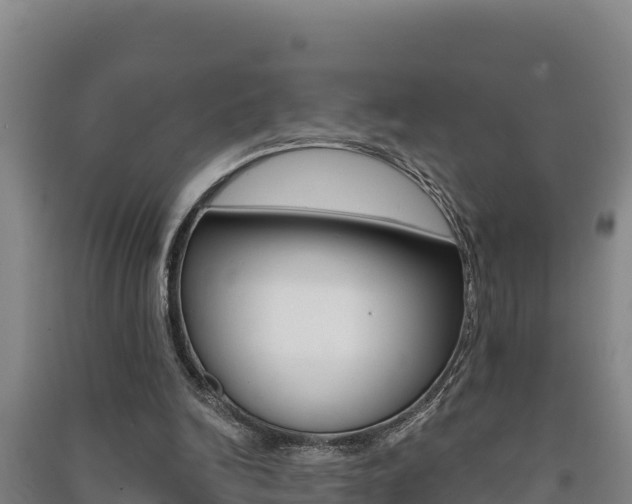 X0000091470246200708161134
