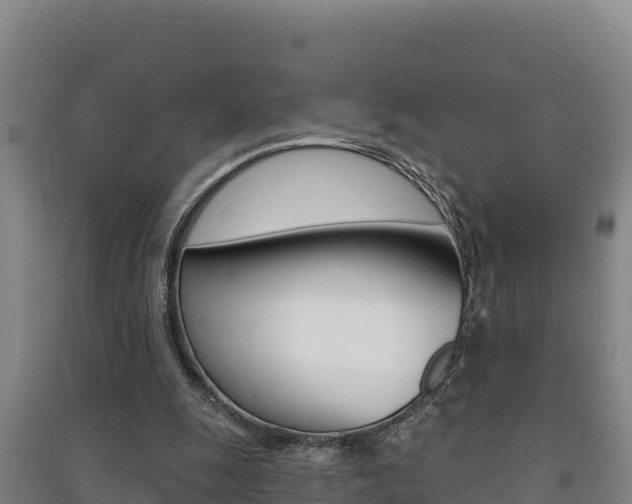 X0000091470247200708161134