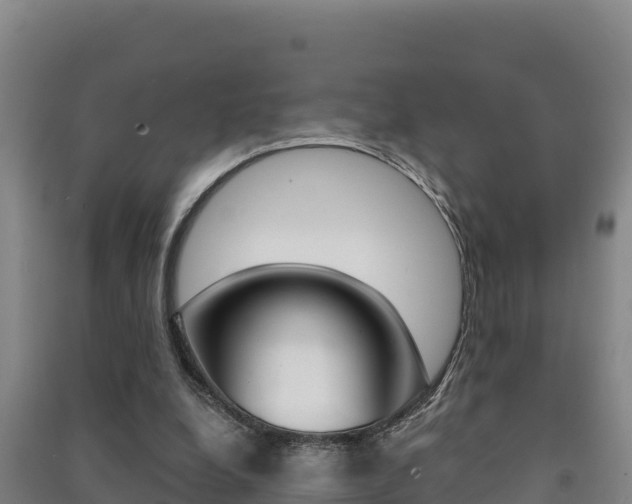 X0000091470248200708161134
