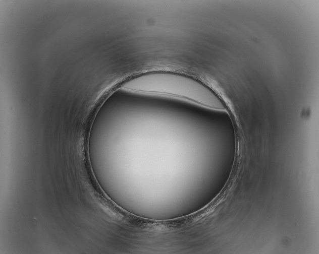 X0000091470249200708161134