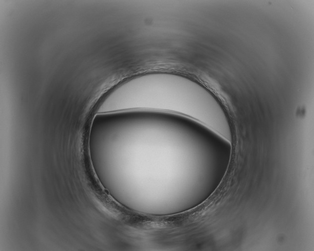X0000091470250200708161134