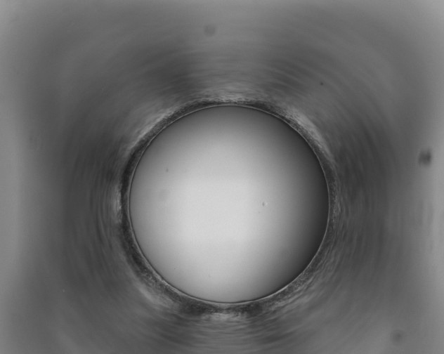 X0000091470251200708161134