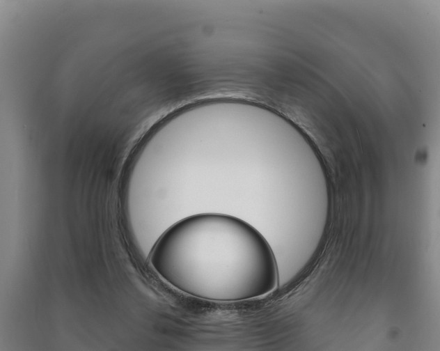 X0000091470252200708161134