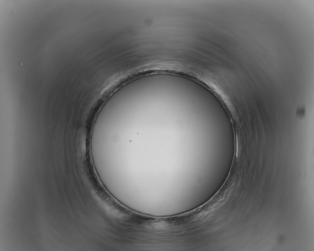 X0000091470253200708161134