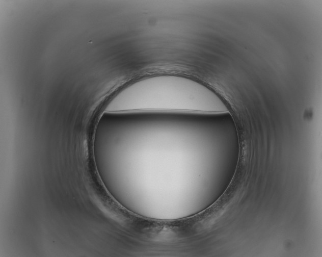 X0000091470254200708161134