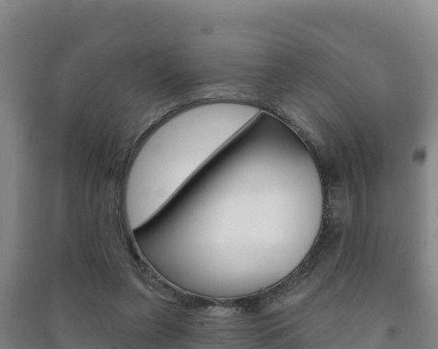 X0000091470255200708161134