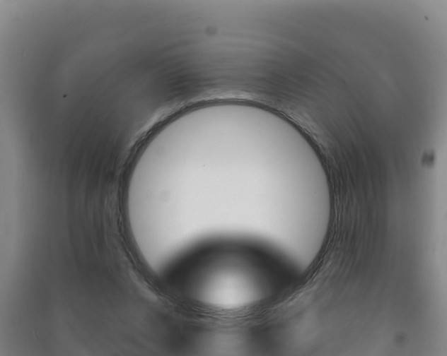 X0000091470256200708161134