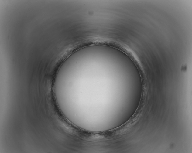 X0000091470257200708161134