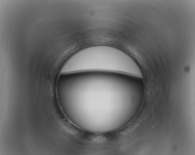 X0000091470258200708161134