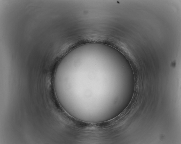 X0000091470259200708161134