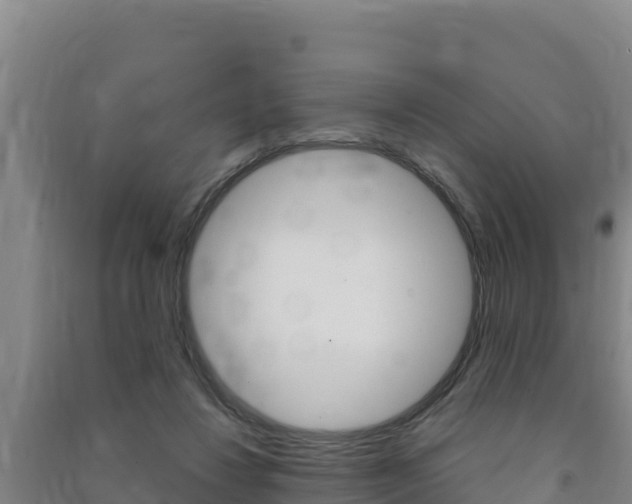 X0000091470260200708161134