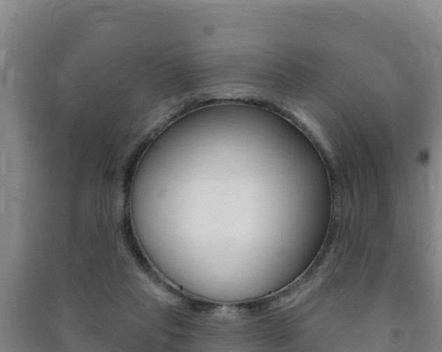 X0000091470261200708161134