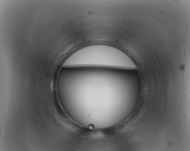 X0000091470262200708161134