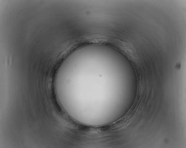 X0000091470263200708161134