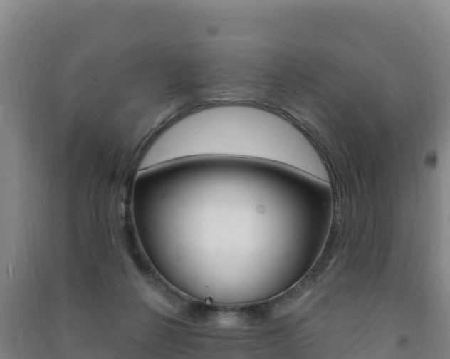 X0000091470264200708161134