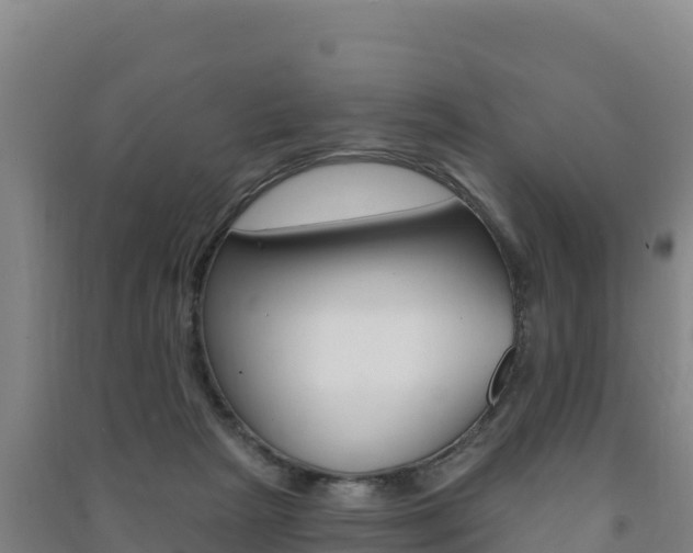 X0000091470265200708161134