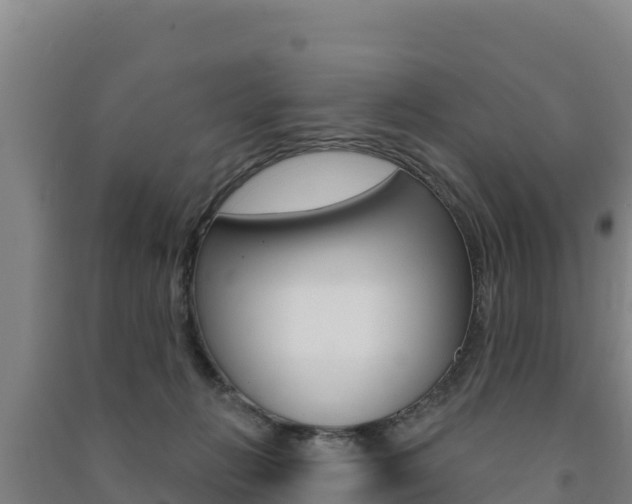 X0000091470270200708161134