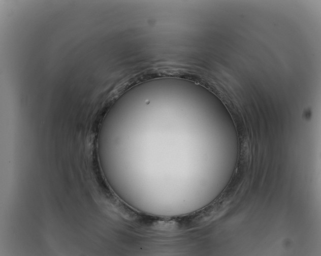 X0000091470271200708161134
