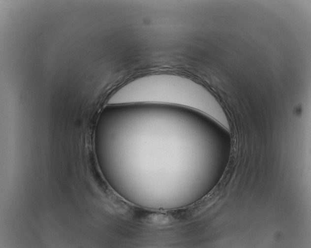 X0000091470272200708161134