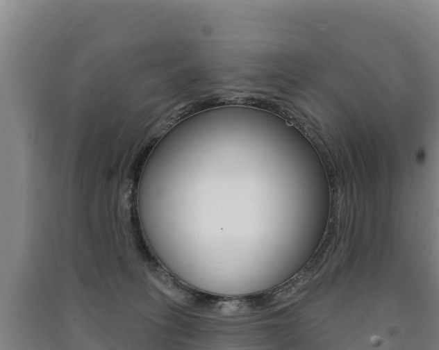 X0000091470275200708161134