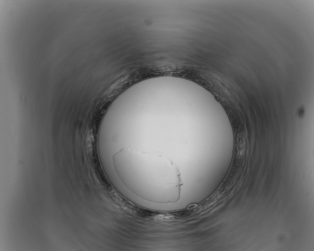 X0000091470279200708161134