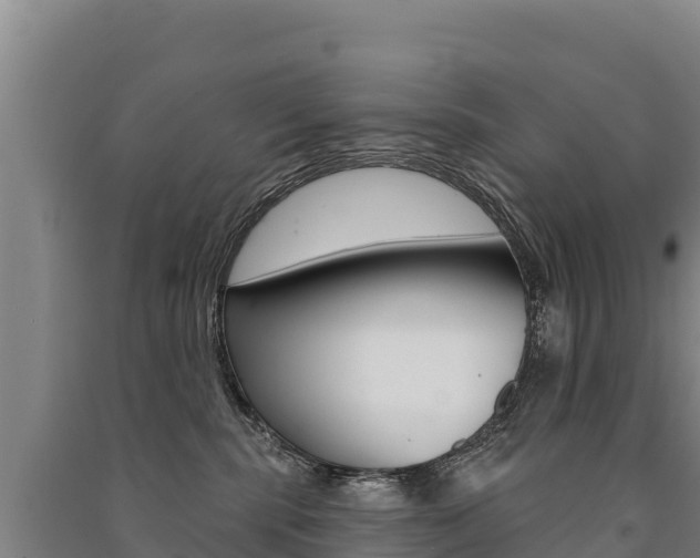 X0000091470283200708161134