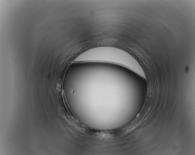 X0000091470284200708161134