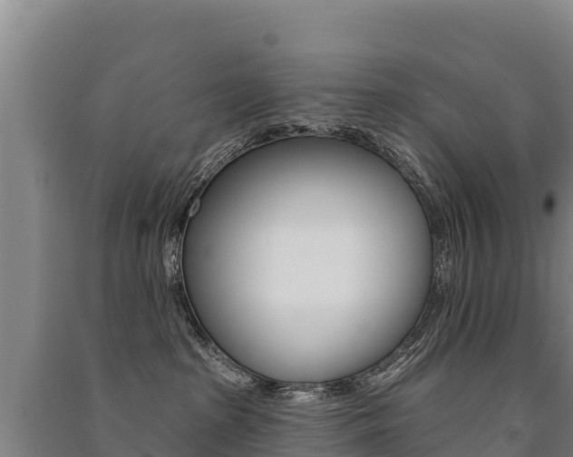 X0000091470285200708161134
