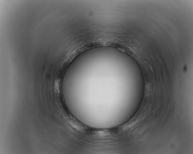 X0000091470286200708161134