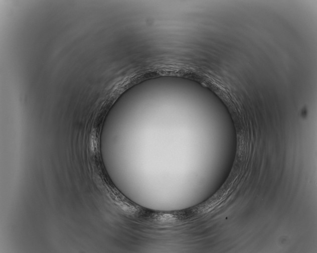 X0000091470287200708161134