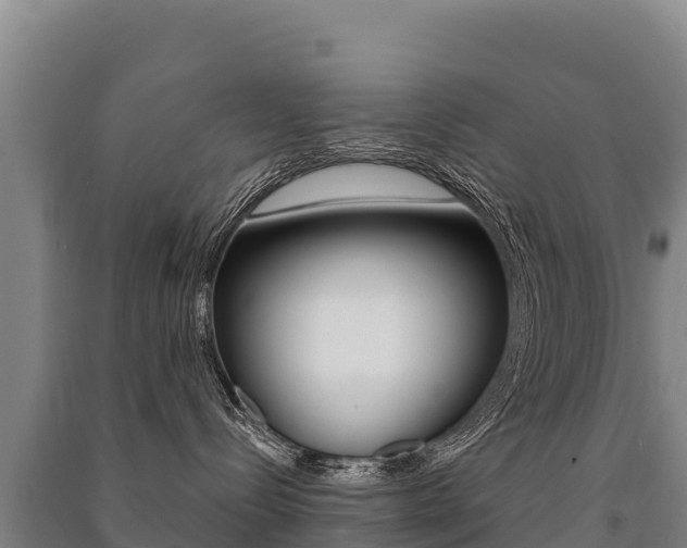 X0000091470288200708161134