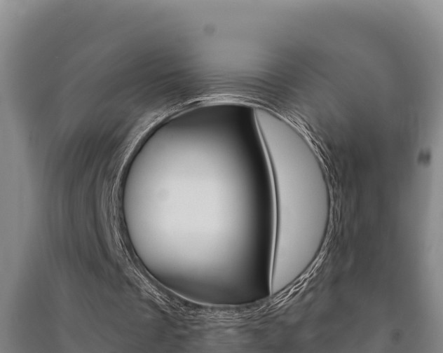 X0000091470289200708161134