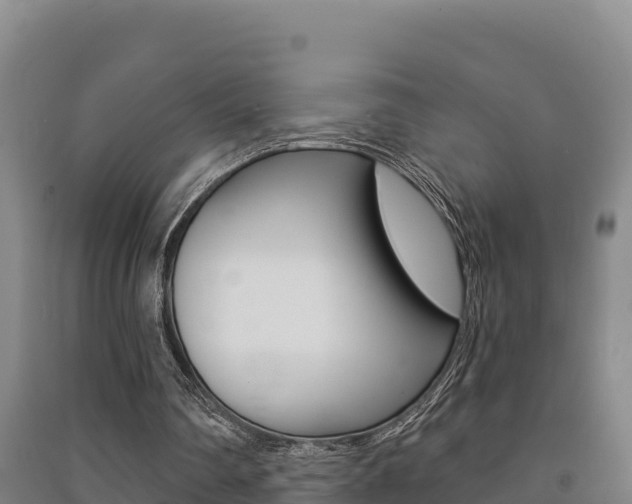 X0000091470290200708161134