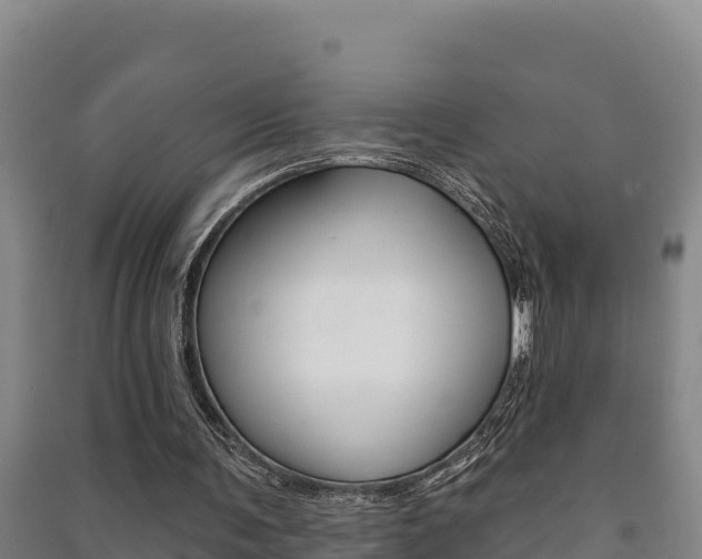 X0000091470291200708161134