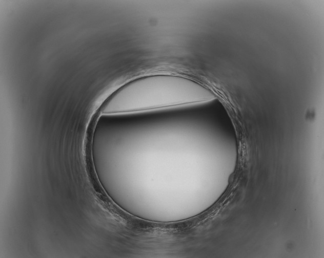 X0000091470292200708161134