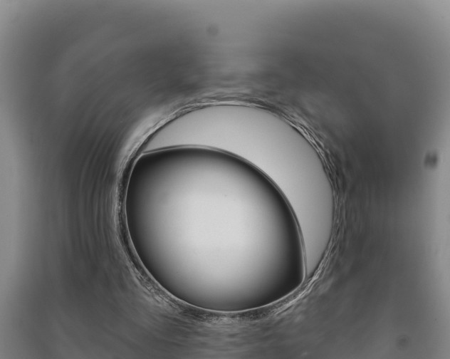 X0000091470293200708161134