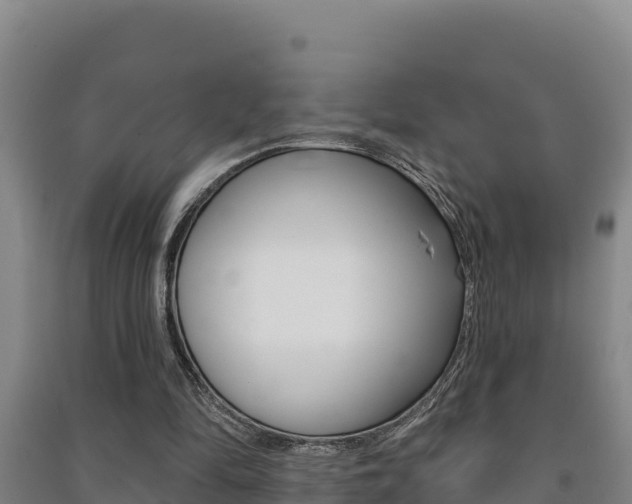 X0000091470294200708161134