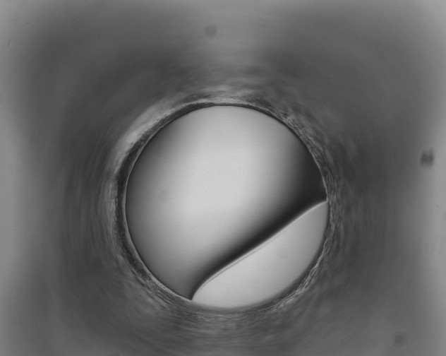 X0000091470295200708161134