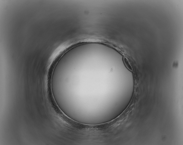 X0000091470296200708161134